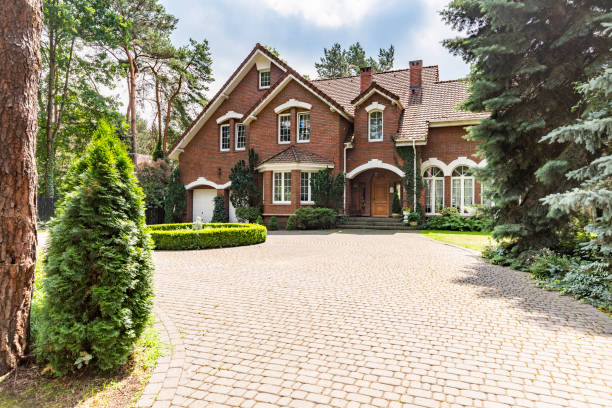 Best Best Driveway Pavers  in Tracy, MN
