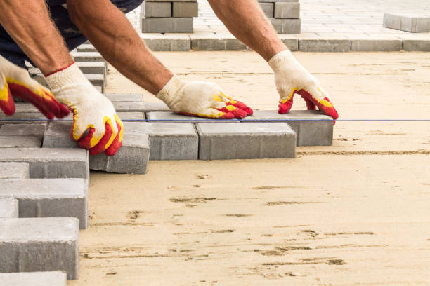 Best Driveway Paving Company  in Tracy, MN