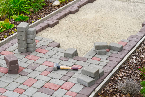 Best Driveway Pavers Contractor  in Tracy, MN
