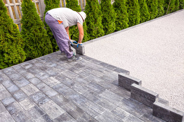 Best Driveway Paving Contractor  in Tracy, MN