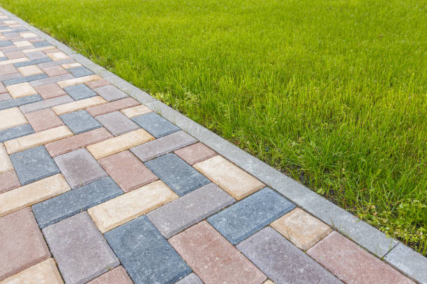 Best Affordable Driveway Pavers  in Tracy, MN